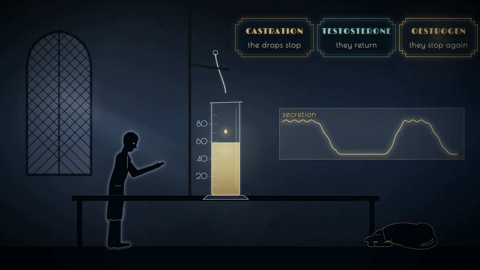 Researcher at a bench by a dripping tube and graduated cylinder, a dog asleep below; panels read castration, testosterone, oestrogen, and a secretion graph.
