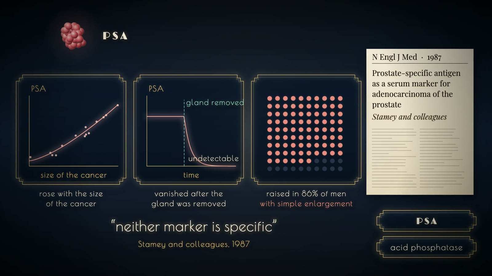 PSA panels: rises with cancer size, vanishes after gland removal, raised in 86% of men with enlargement; the quote reads neither marker is specific.